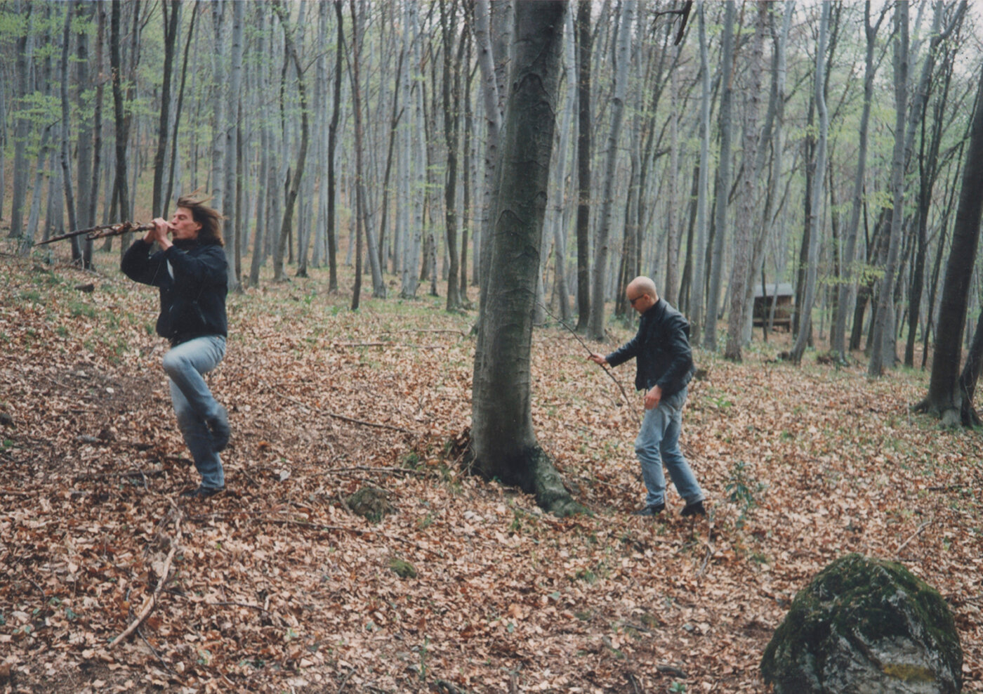 Hodel Schumacher Clavadetscher – Wald Foto – Wien