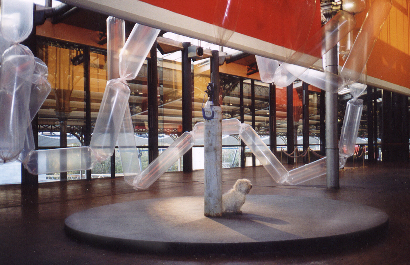 Schumacher Clavadetscher – Dogs Heaven – Grande Halle De La Villette, Paris