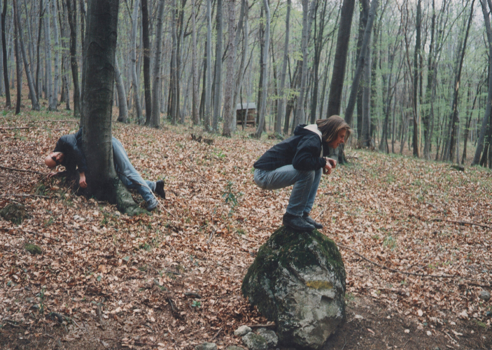 Hodel Schumacher Clavadetscher – Wald Foto – Wien